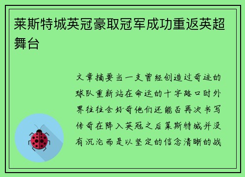 莱斯特城英冠豪取冠军成功重返英超舞台 莱斯特城英冠豪取冠军成功重返英超舞台